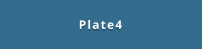 Plate4